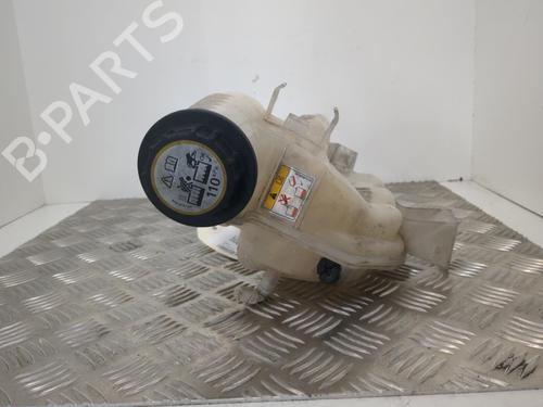 Expansion tank LAND ROVER RANGE ROVER SPORT I (L320) 3.0 D 4x4 | BP25659235C120 