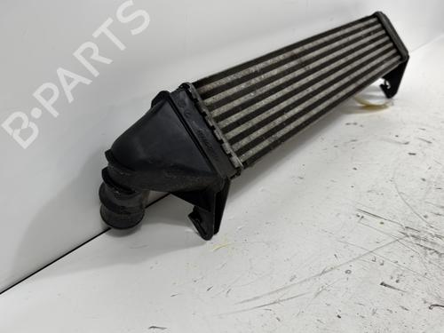 Used Intercooler Intercooler DACIA LOGAN MCV (KS_) 1.5 dCi (KS04) (88 hp) 31381395 31381395