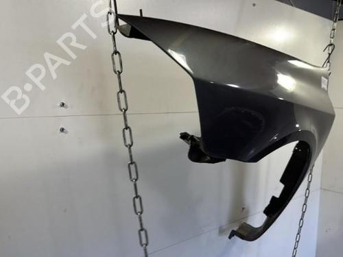 Used Left front fenders RENAULT LAGUNA II (BG0/1_) 1.9 dCi (BG1A, BG1W, BG0G) (110 hp) 25658766