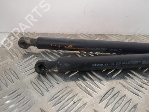 Tailgate lift support DACIA SANDERO II 1.2 | BP25660155C138