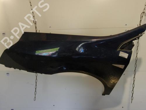 Left front fenders RENAULT VEL SATIS (BJ0_) 2.2 dCi (BJ0E, BJ0F, BJ0G, BJ0H) | BP25655979C41 