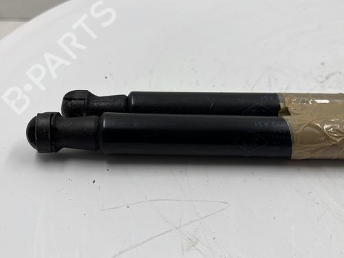 Gassdemper Bakluke RENAULT TWINGO II (CN0_) 1.2 16V (CN04, CN0B) (75 hp) 25656136