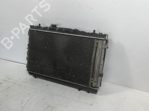 Køleventilator elektrisk NISSAN QASHQAI / QASHQAI +2 I (J10, NJ10, JJ10E) 1.6 dCi | BP27897930M35 
