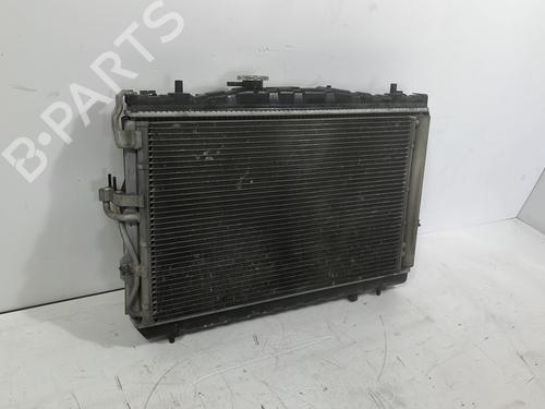 Køleventilator elektrisk NISSAN QASHQAI / QASHQAI +2 I (J10, NJ10, JJ10E) 1.6 dCi (130 hp) 27897930