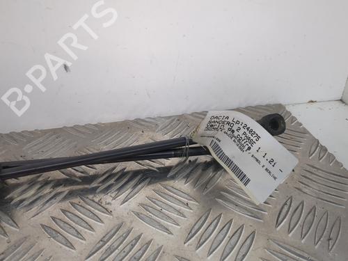 Tailgate lift support DACIA SANDERO II 1.2 | BP25660155C138