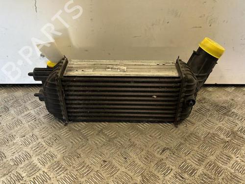 intercooler-citroen-ds4-nx_-2011-2012-2013-2014-2015-25657045 main image