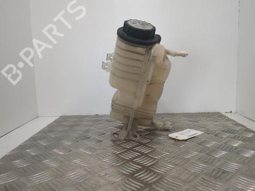 Expansion tank LAND ROVER RANGE ROVER SPORT I (L320) 3.0 D 4x4 | BP25659235C120 