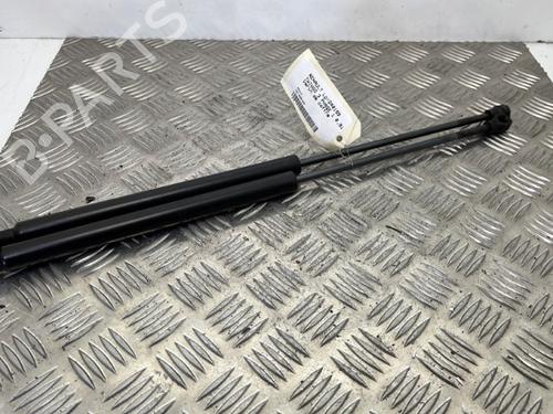 Used Tailgate lift support RENAULT TWINGO III (BCM_, BCA_) 0.9 TCe 90 (BCM9, BCM2) (90 hp) 25655351