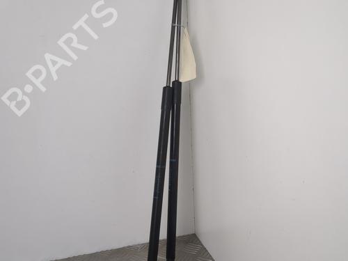 Used Tailgate lift support RENAULT MEGANE III Coupe (DZ0/1_) 1.6 dCi (DZ00, DZ12, DZ2A, DZ13) (130 hp) 25659818