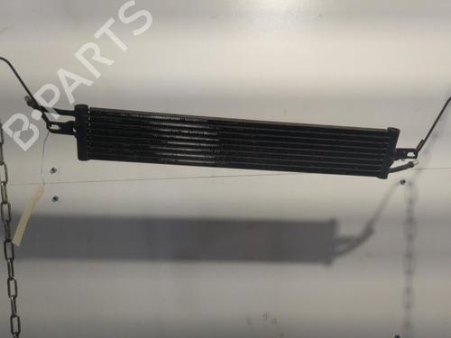 Oil radiator LAND ROVER RANGE ROVER SPORT I (L320) 3.0 D 4x4 | BP25659234M33 