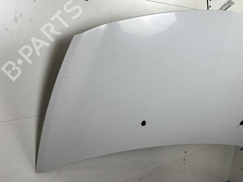 Hood RENAULT CLIO III (BR0/1, CR0/1) 1.5 dCi (BR17, CR17) | BP25660051C1 