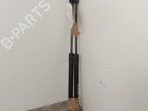 Used Tailgate lift support RENAULT CLIO III Grandtour (KR0/1_) 1.5 dCi (KR0G) (68 hp) 25656367