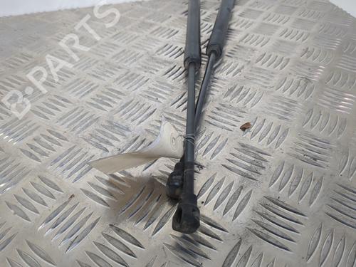 Tailgate lift support DACIA SANDERO II 1.2 | BP25660155C138