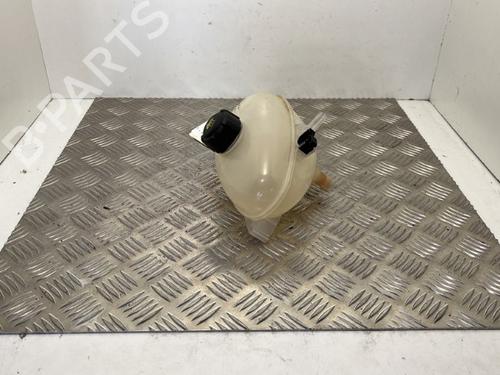 Expansion tank RENAULT TWINGO III (BCM_, BCA_) 0.9 TCe 90 (BCM9, BCM2) | BP25656876C120 