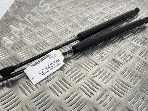 Tailgate lift support RENAULT CLIO IV (BH_) 0.9 TCe 90 (BHNF, BHMA, BHMH, BHJK, BHJR) | BP25656600C138 
