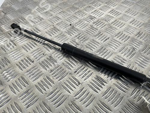 Used Hood lift support RENAULT CLIO IV (BH_) 0.9 TCe 90 (BHNF, BHMA, BHMH, BHJK, BHJR) (90 hp) 25658339