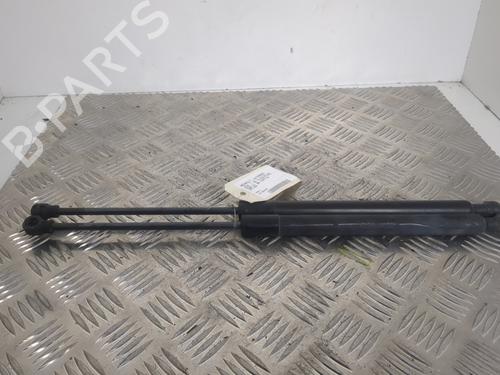 Tailgate lift support RENAULT ZOE (BFM_) ZOE | BP25656444C138 - Image 6