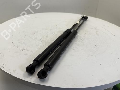 hood-lift-support-renault-megane-iv-hatchback-b9amn_-2015-25658100 main image