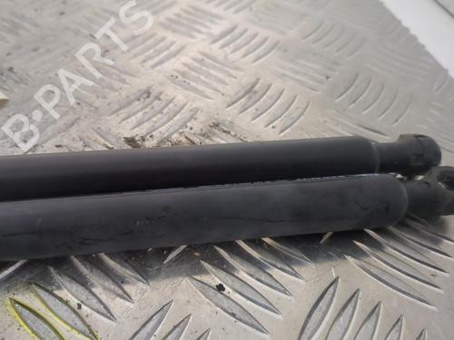 Tailgate lift support RENAULT ZOE (BFM_) ZOE | BP25656444C138