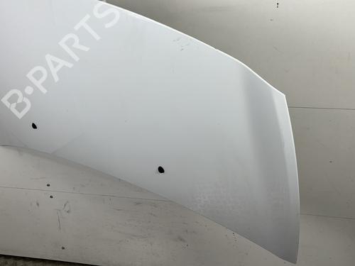 Hood RENAULT CLIO III (BR0/1, CR0/1) 1.5 dCi (BR17, CR17) | BP25660051C1 