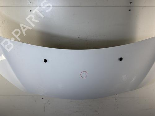 hood-citroen-ds3-sa_-2009-2010-2011-2012-2013-2014-2015-2016-26313605 main image