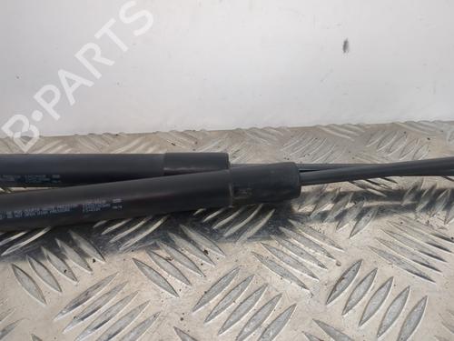Tailgate lift support DACIA SANDERO II 1.2 | BP25660155C138 - Image 2