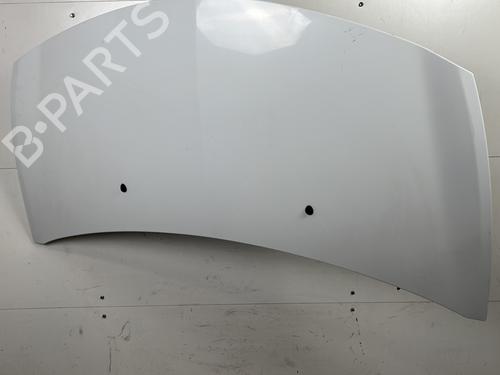 Hood RENAULT CLIO III (BR0/1, CR0/1) 1.5 dCi (BR17, CR17) | BP25660051C1 