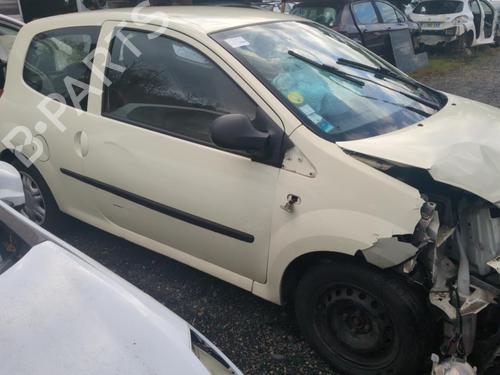 Viskermotor vindrude RENAULT TWINGO II (CN0_) 1.2 16V (CN04, CN0B) | BP25656139M29 