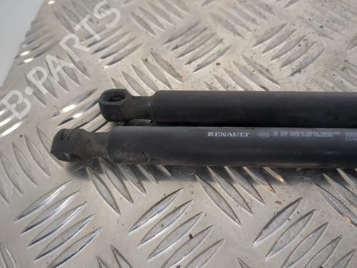 Tailgate lift support DACIA SANDERO II 1.5 dCi | BP25659876C138 