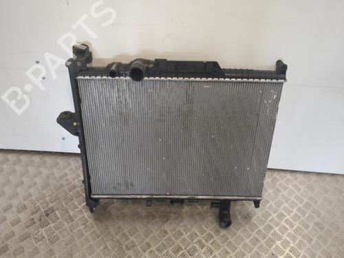 Used Water radiator Water radiator LAND ROVER RANGE ROVER SPORT I (L320) 3.0 D 4x4 (245 hp) 25659360 25659360
