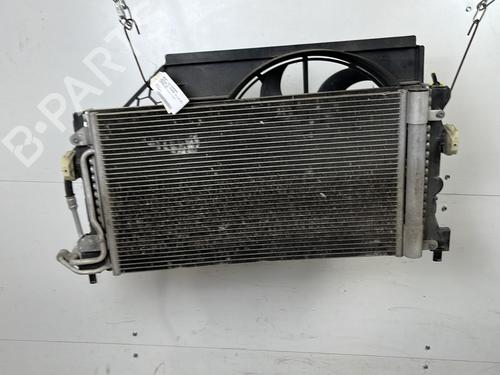 Used Water radiator Water radiator SEAT IBIZA IV (6J5, 6P1) 1.0 (75 hp) 25660047 25660047