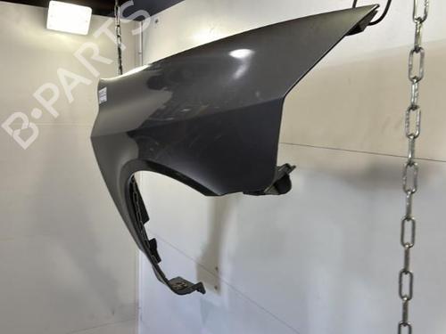 Right front fenders RENAULT LAGUNA II (BG0/1_) 1.9 dCi (BG1A, BG1W, BG0G) | BP25658767C42 