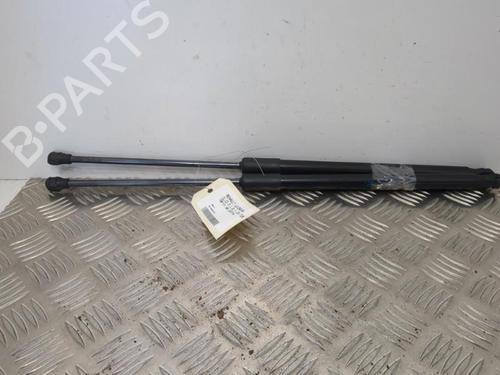 Used Tailgate lift support RENAULT CLIO V (B7_) 1.0 TCe 90 (B7MT) (91 hp) 25660471