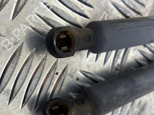 tailgate-lift-support-renault-clio-iii-br01-cr01-2005-2006-2007-2008-2009-2010-2011-2012-2013-2014-25658333 main image