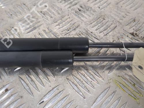 Tailgate lift support DACIA SANDERO II 1.5 dCi | BP25659876C138 
