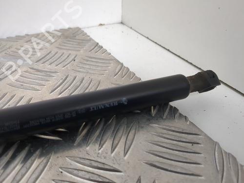 Hood lift support DACIA SANDERO II 1.2 | BP25660154C139 