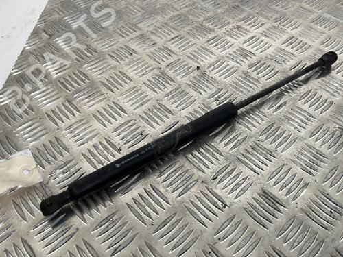 Hood lift support RENAULT CLIO IV (BH_) 0.9 TCe 90 (BHNF, BHMA, BHMH, BHJK, BHJR) | BP25658339C139 