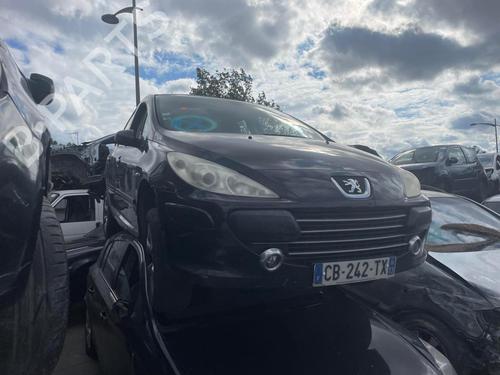 Right mirror PEUGEOT 307 (3A/C) 1.6 HDi | BP25667211C27 
