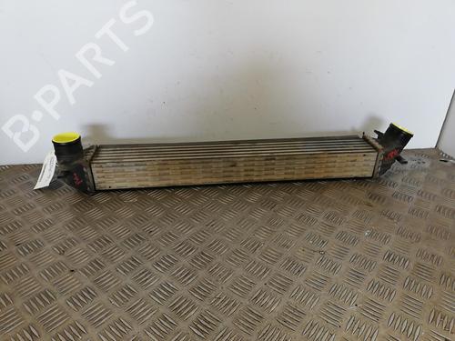 Used Intercooler VW POLO V (6R1, 6C1) 1.6 TDI (90 hp) 25665335