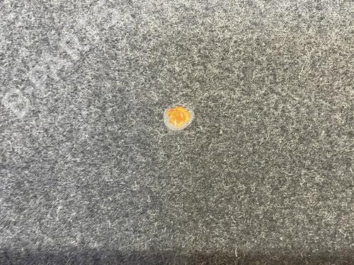 Hattehylle PEUGEOT 307 (3A/C) 1.6 HDi | BP26154708C85