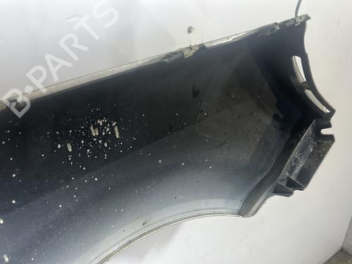 Left front fenders RENAULT SCÉNIC II (JM0/1_) 1.9 dCi (JM0G, JM12, JM1G, JM2C) | BP27707208C41 
