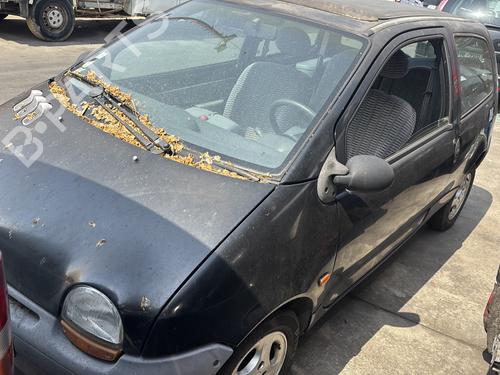 Tailgate RENAULT TWINGO I (C06_) 1.2 (C066, C068) | BP28974247C6 