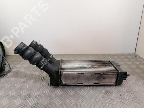 Used Intercooler PEUGEOT PARTNER Box Body/MPV 1.6 HDi (75 hp) 25668594