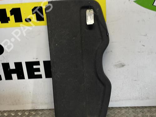 Used Rear parcel shelf RENAULT CLIO III (BR0/1, CR0/1) 1.5 dCi (BR17, CR17) (86 hp) 25668150
