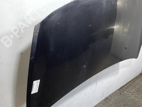 Hood RENAULT CLIO III (BR0/1, CR0/1) 1.5 dCi (BR17, CR17) | BP29273069C1 