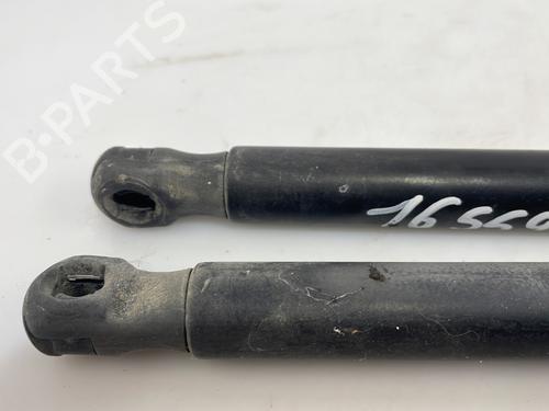 Gassdemper Bakluke RENAULT SCÉNIC II (JM0/1_) 1.9 dCi (JM0G, JM12, JM1G, JM2C) | BP27981907C138 