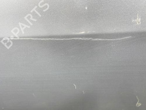Right front door RENAULT SCÉNIC II (JM0/1_) 1.5 dCi (JM1E, JM16) | BP28471238C3 