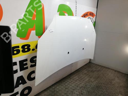 Hood FIAT DOBLO Box Body/MPV (223_) 1.3 D Multijet | BP25670713C1 