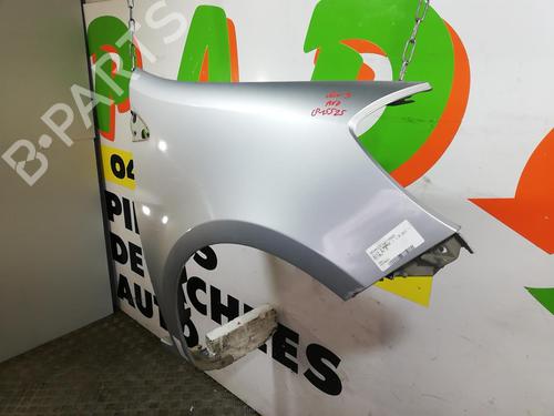 Right front fenders RENAULT CLIO III (BR0/1, CR0/1) 1.5 dCi (BR17, CR17) | BP25665134C42 