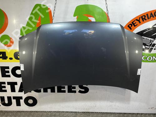 Used Hood VW TOURAN (1T1, 1T2) 1.9 TDI (105 hp) 25662771